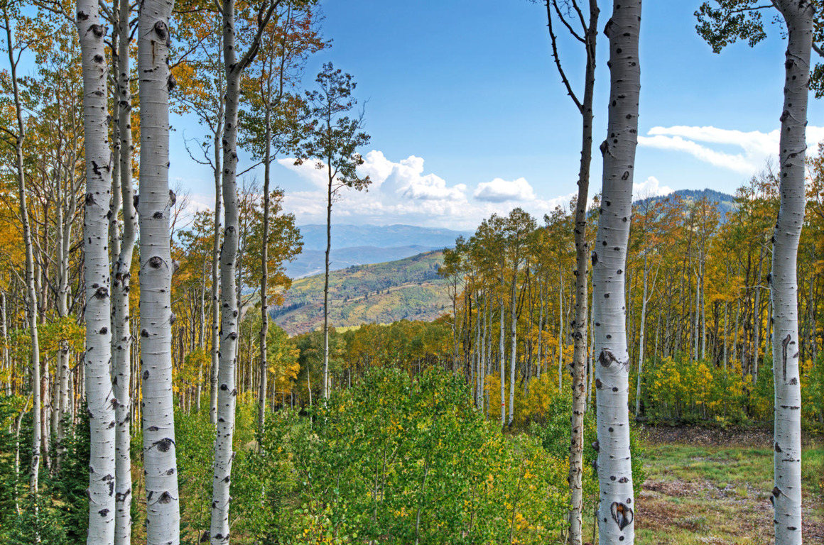 Trailside Park