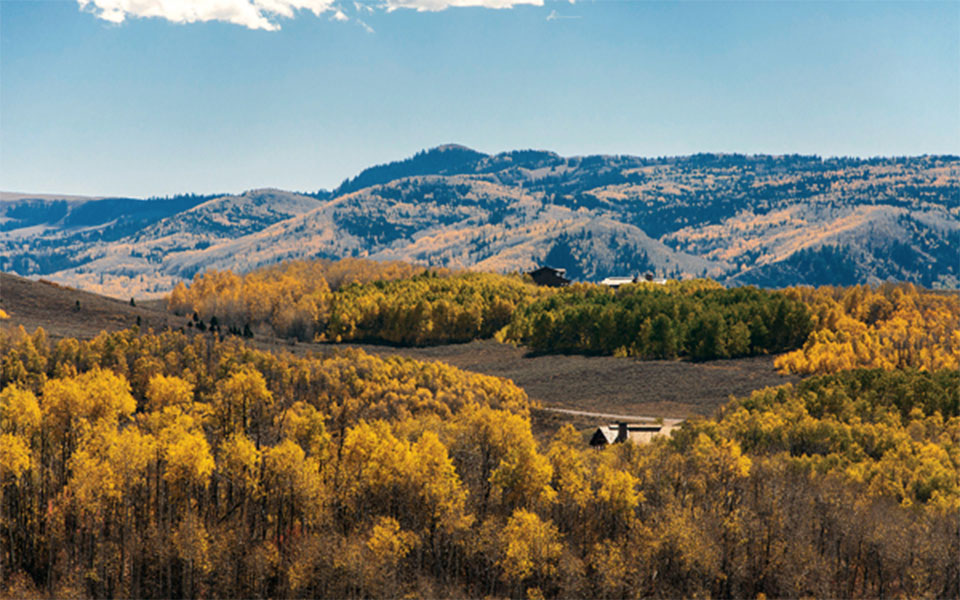 Wolf Creek Ranch