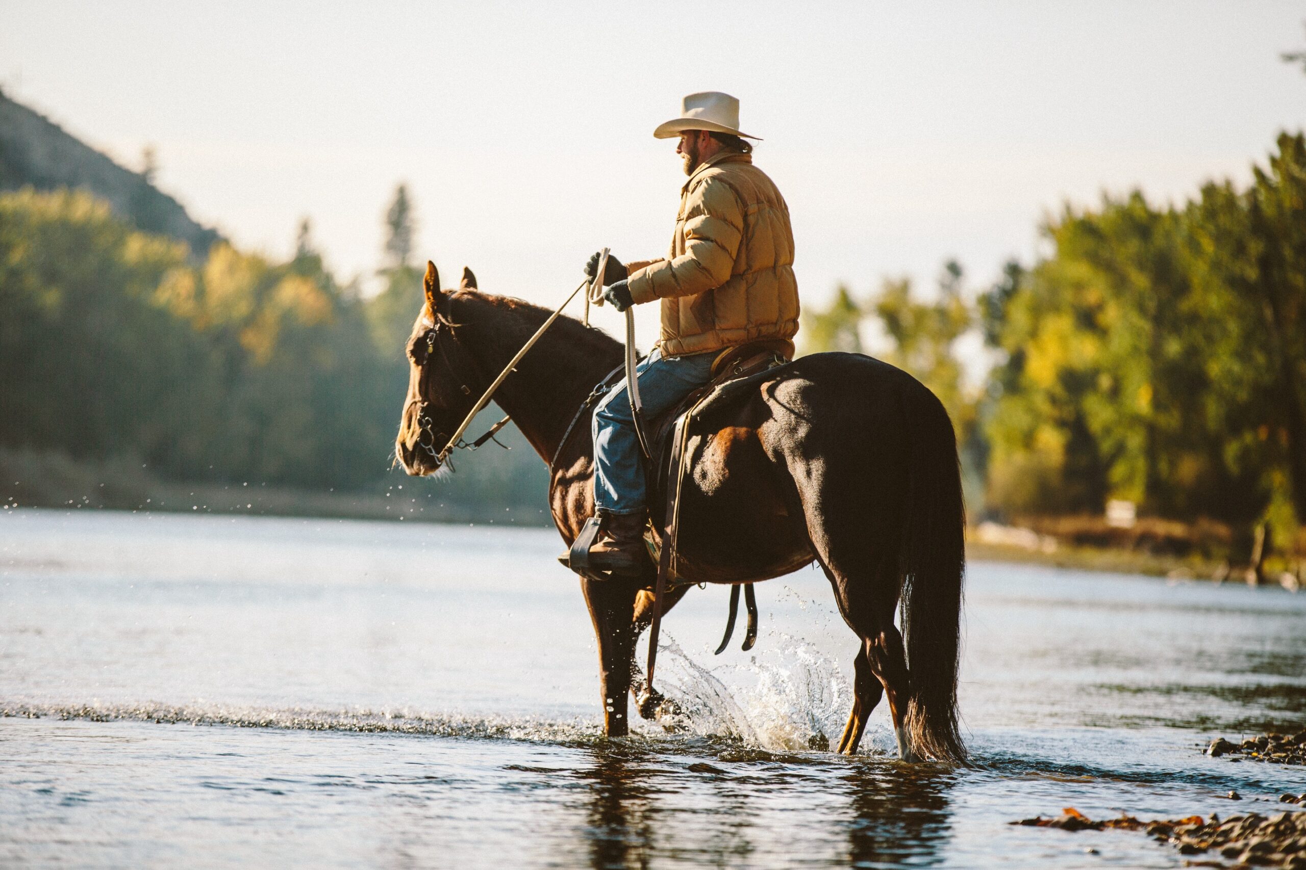 Horseback Riding