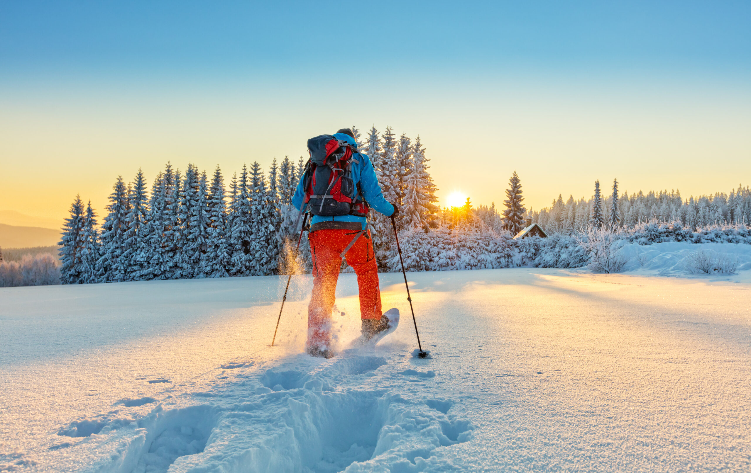 Snow Shoeing